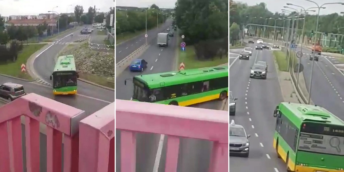 Autobus jechał pod prąd ul. Lechicką w Poznaniu.