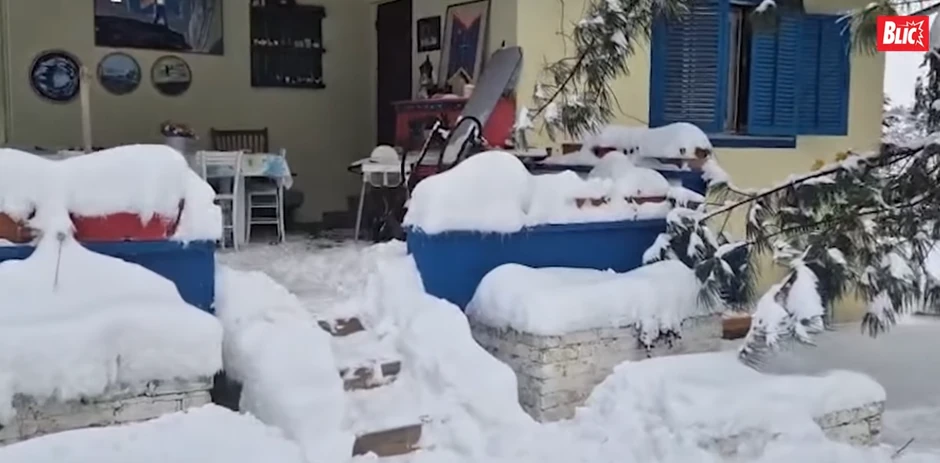 Maja Volk zavejana u selu Babe