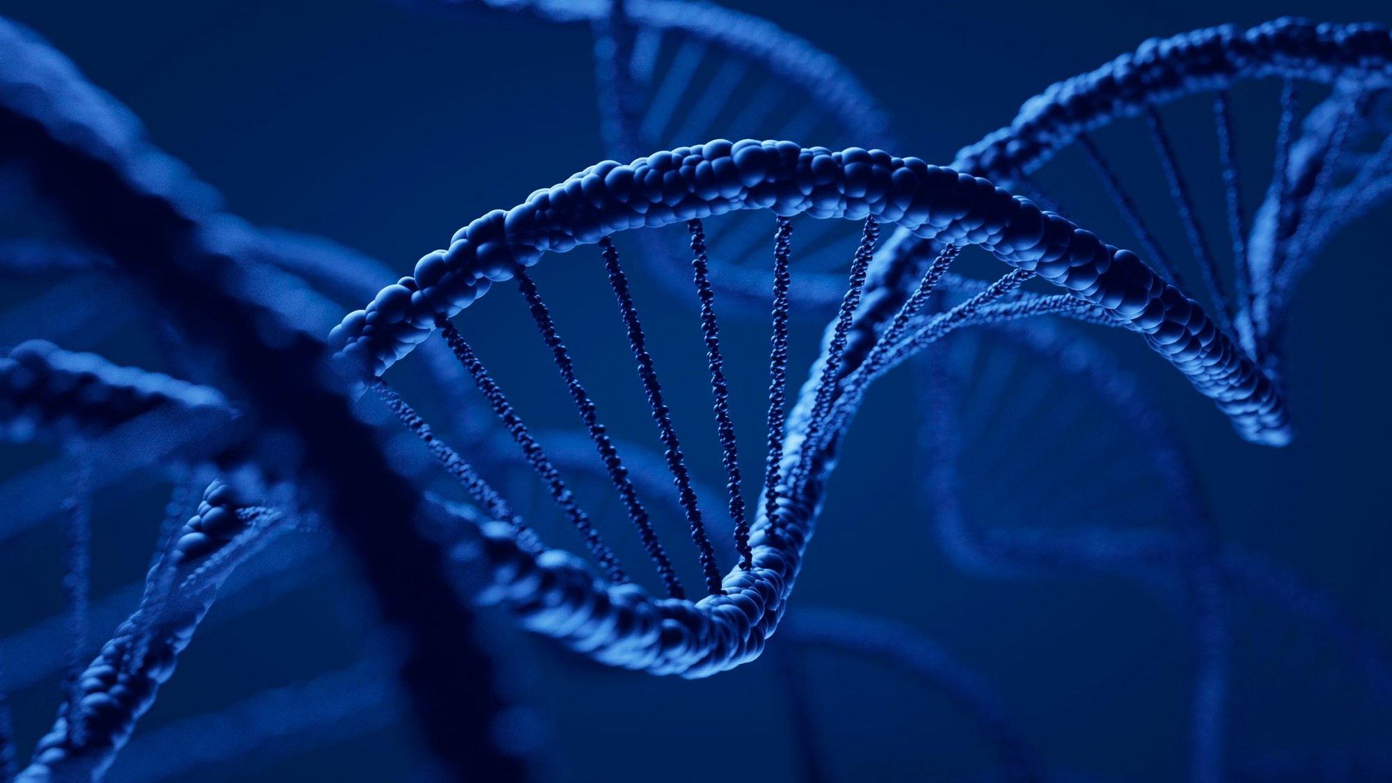 Pomocou spojenia DNA budú sumce odolnejšie voči chorobám.