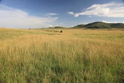 DGP na Dzień Dziecka. Jak pandemia wpłynęła na środowisko?