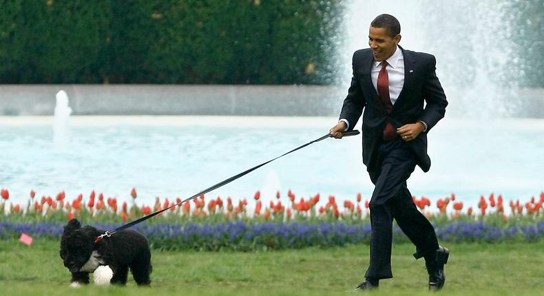 obama running dog