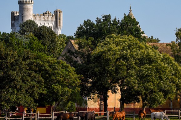 Ovaj grad dobija fabriku sa 1.000 radnih mesta, zaposliće većinom žene! Vučić: Folksvagen otpušta, a nama stiže velika investicija