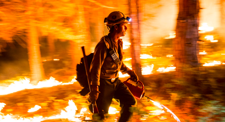 Sequoia national forest controlled fire