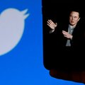 Niebawem zadzwonisz przez Twittera. Elon Musk ogłasza zmiany