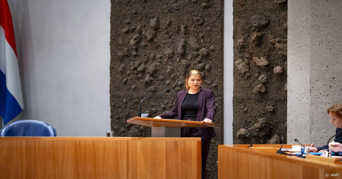 Van-waardeloos-naar-ja-stem-waarom-D66-de-strikte-asielwetten-nu-toch-accepteert