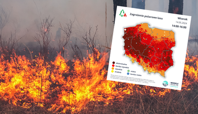 W polskich lasach wybuchają pożary. Zagrożenie jest ekstremalne