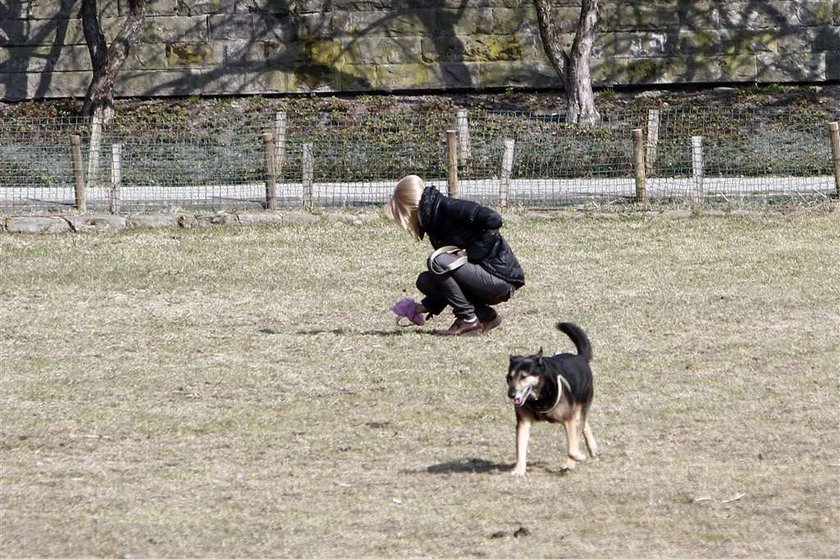 Torbicka sprząta po psie. Foto