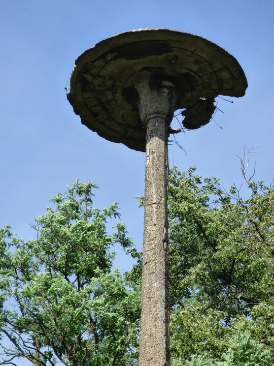 Zasieki (Forst) - pozostałości poniemieckiego miasta rozebranego po wojnie