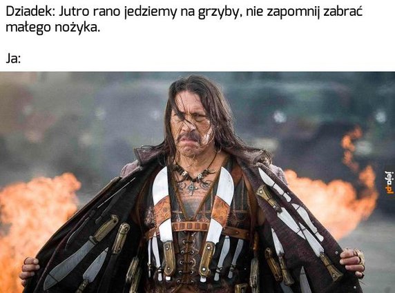 Sezon na grzyby rozpoczęty