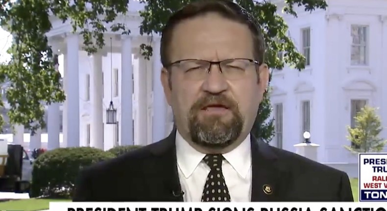 Sebastian Gorka on Fox News.