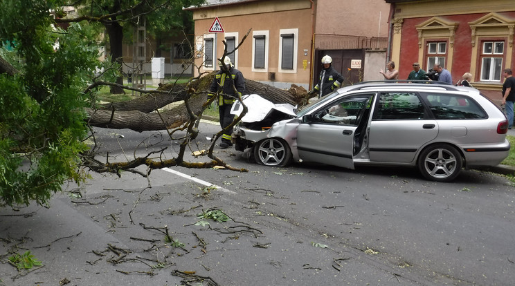 /Fotó: Nyíregyháza HTP