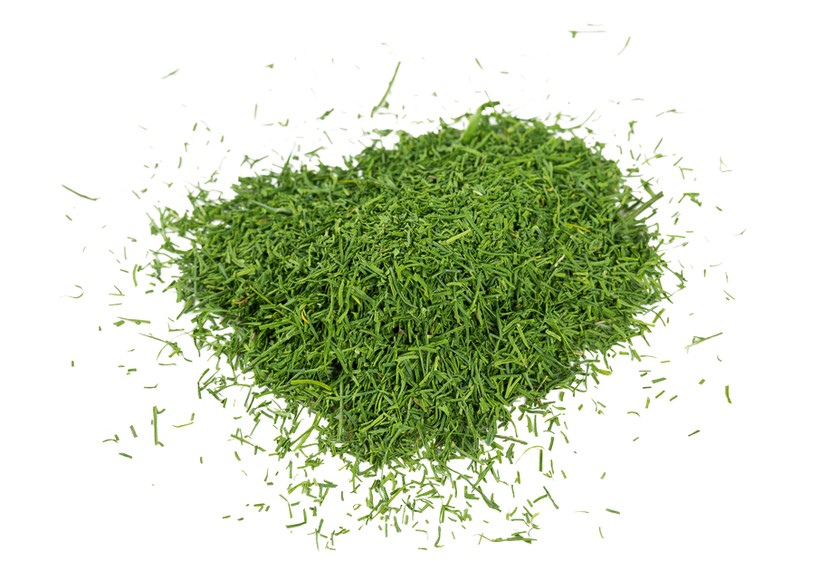 Welcher Geruch macht Sie nostalgisch? «Ich bin auf dem Land aufgewachsen. Jetzt, wo ich in der Stadt wohne, versetzt mich der Geruch von frisch geschnittenem Gras zurück in meine Kindheit.»