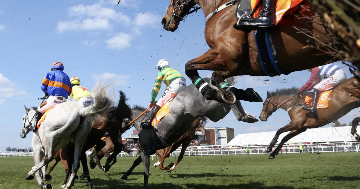 President Tinubu&rsquo;s horse wins international horse racing competition in Kaduna