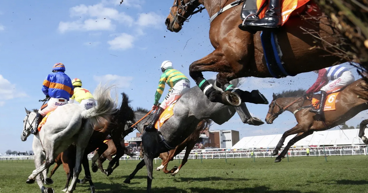 President Tinubu’s horse wins international horse racing competition in Kaduna