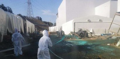 Pracownicy Fukushimy I weszli do reaktora