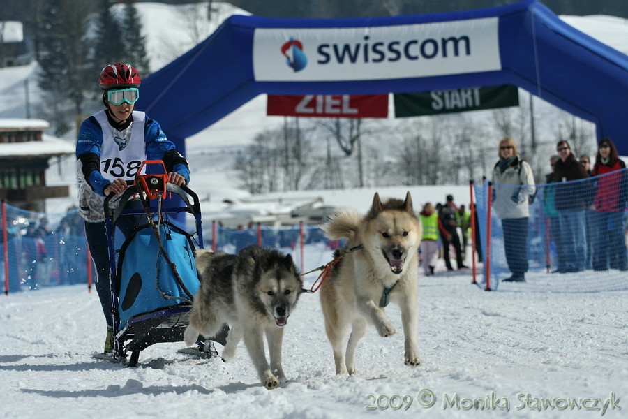 Mistrzostwa Europy WSA w wyścigach psich zaprzęgów