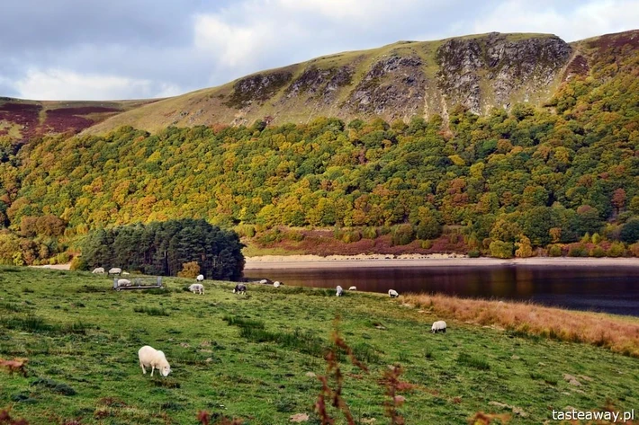 1) ELAN VALLEY