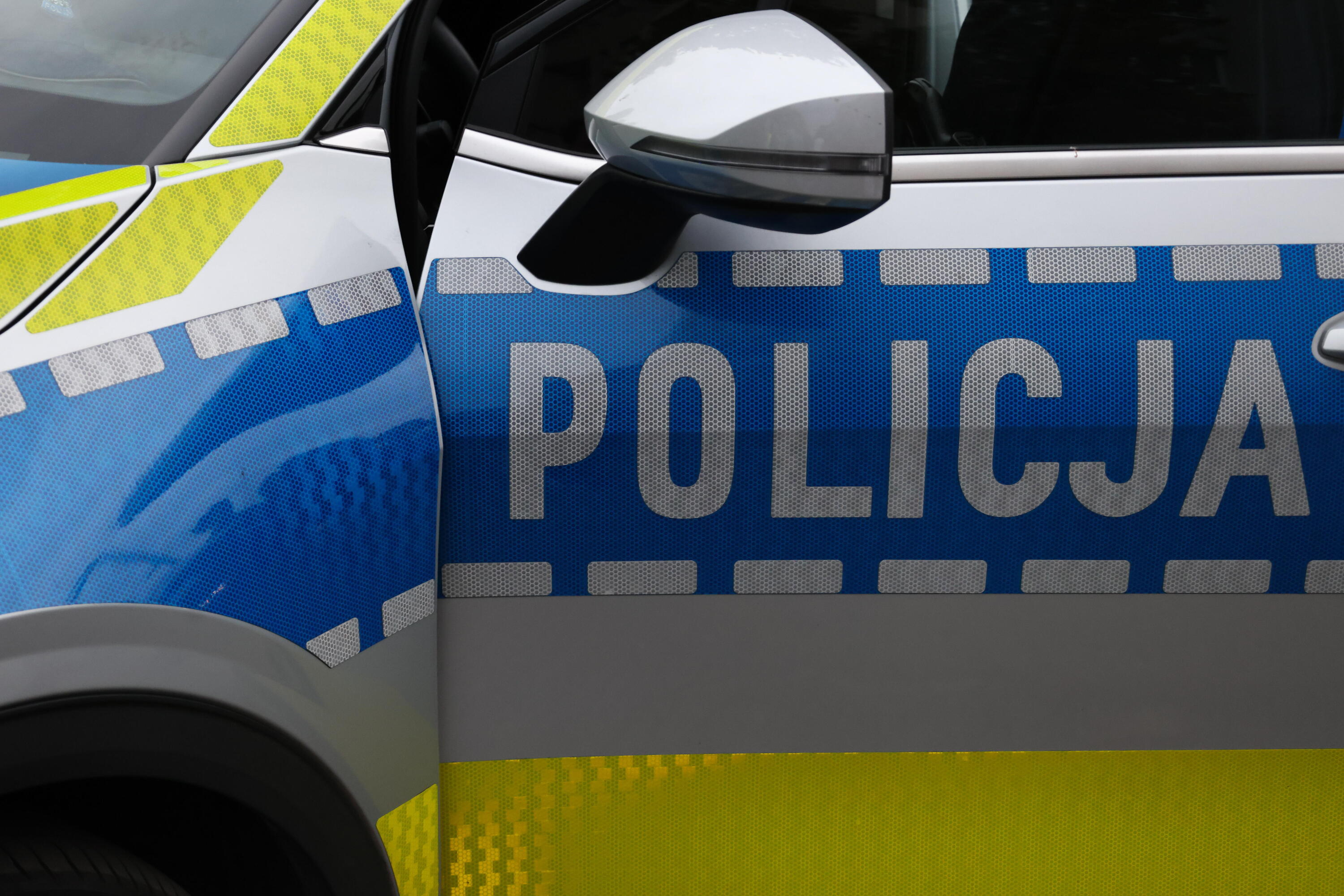 Hodował nielegalnie niedźwiedzicę Poka. Trafiła do poznańskiego zoo