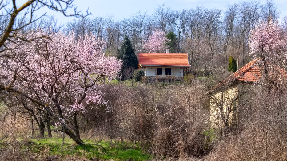 fotó: Shutterstock