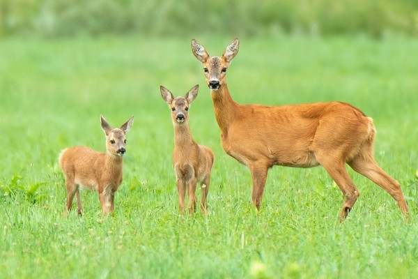 Marko Đurić i Peter Bajer