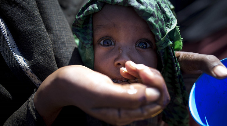 Szomália Aszály / Fotó: Northfoto