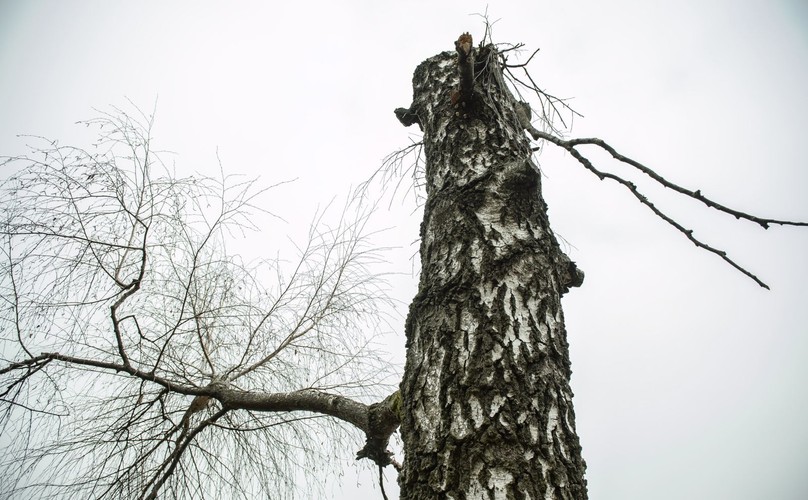 MIEJSCE KATASTROFY W SMOLEŃSKU