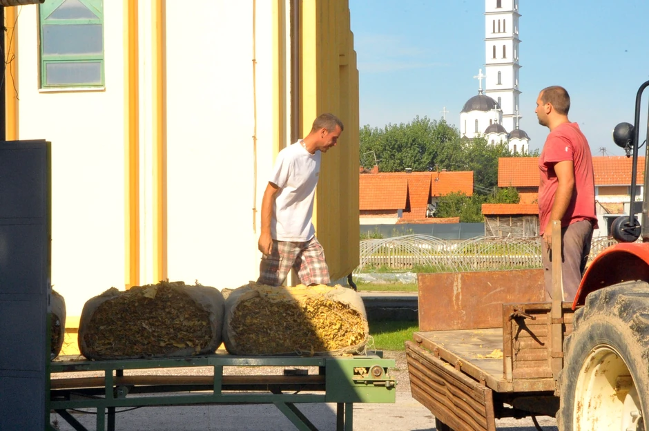 Duvanska industrija cveta