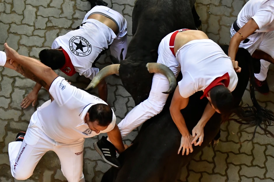 Trka bikova, Pamplona