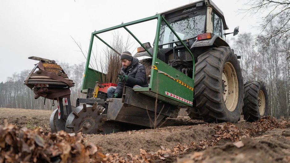 Wielkie zalesianie Łodzi. Powstanie 150 hektarów nowych lasów!