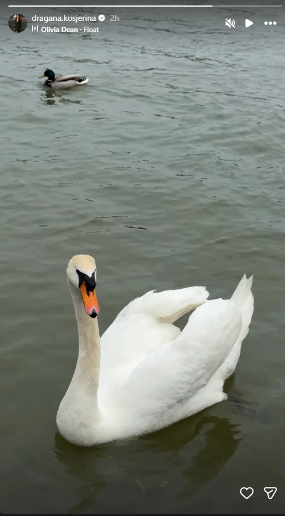 Dragana Kosjerina pokazala kako uživa
