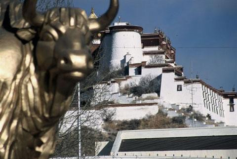 Galeria Tybet - 7 dni w Tybecie, obrazek 30