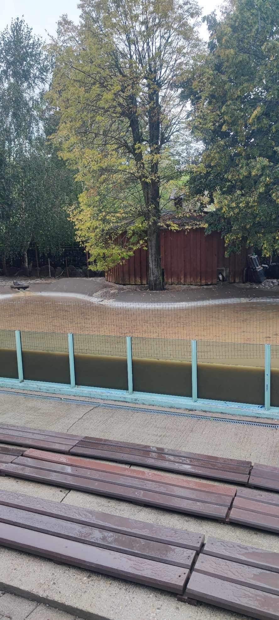 Búrka spôsobila v košickej zoo spúšť.
