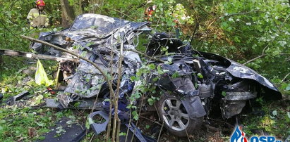 Śmiertelny wypadek na prostej drodze. Kierowca roztrzaskał się na drzewie. Zdjęcia przerażają