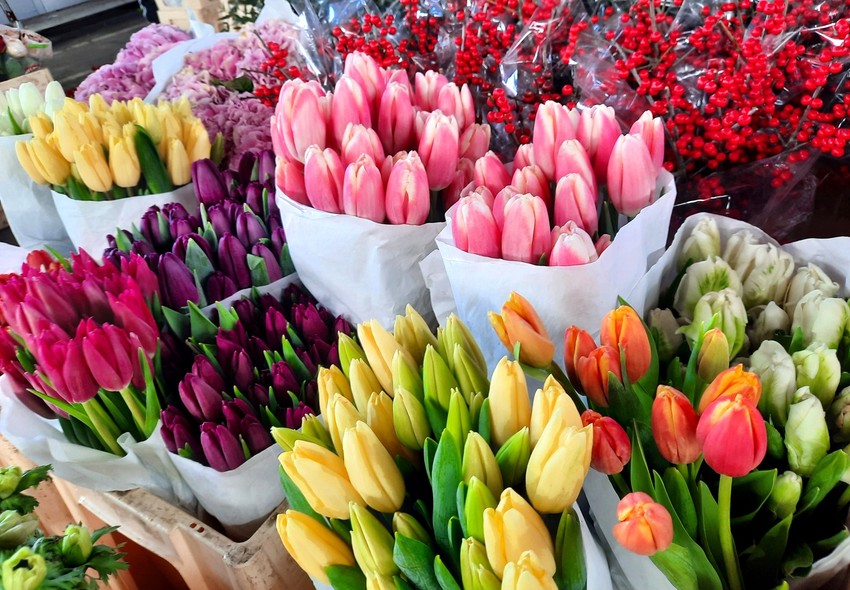 Cveće na beogradskim pijacama