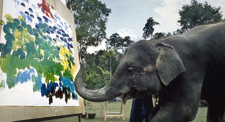 ___4749749___https:______static.pulse.com.gh___webservice___escenic___binary___4749749___2016___3___1___18___elephant+painting