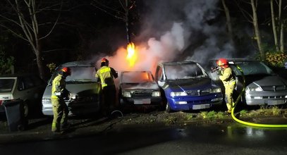 Dramat fundacji pomagającej dzieciom z białaczką. Samochody stanęły w płomieniach. "To było podpalenie"