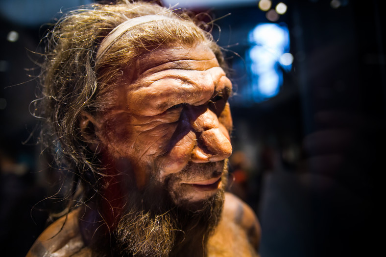 Rekonstrukcja twarzy neandertalczyka oparta na szczątkach sprzed 40 tys. lat znalezionych w Belgii.