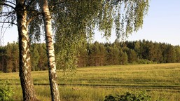 sejm uchwalił przepisy przedłużające zakaz sprzedaży państwowej ziemi