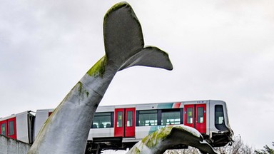 Holandia: Pociąg metra zawisł na płetwie wieloryba. Rzeźba zapobiegła tragedii