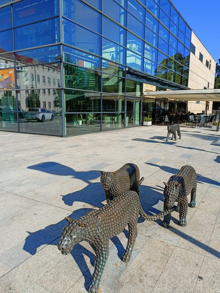 Centrum Społeczno-Kulturalne Trutnov Uffo