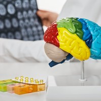 Nagyobb az agyvérzés esélye, ha ezekből a vitaminokból kevés van a szervezetében