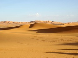 Donald Tusk leci sprzedawać polski luksus na pustyni