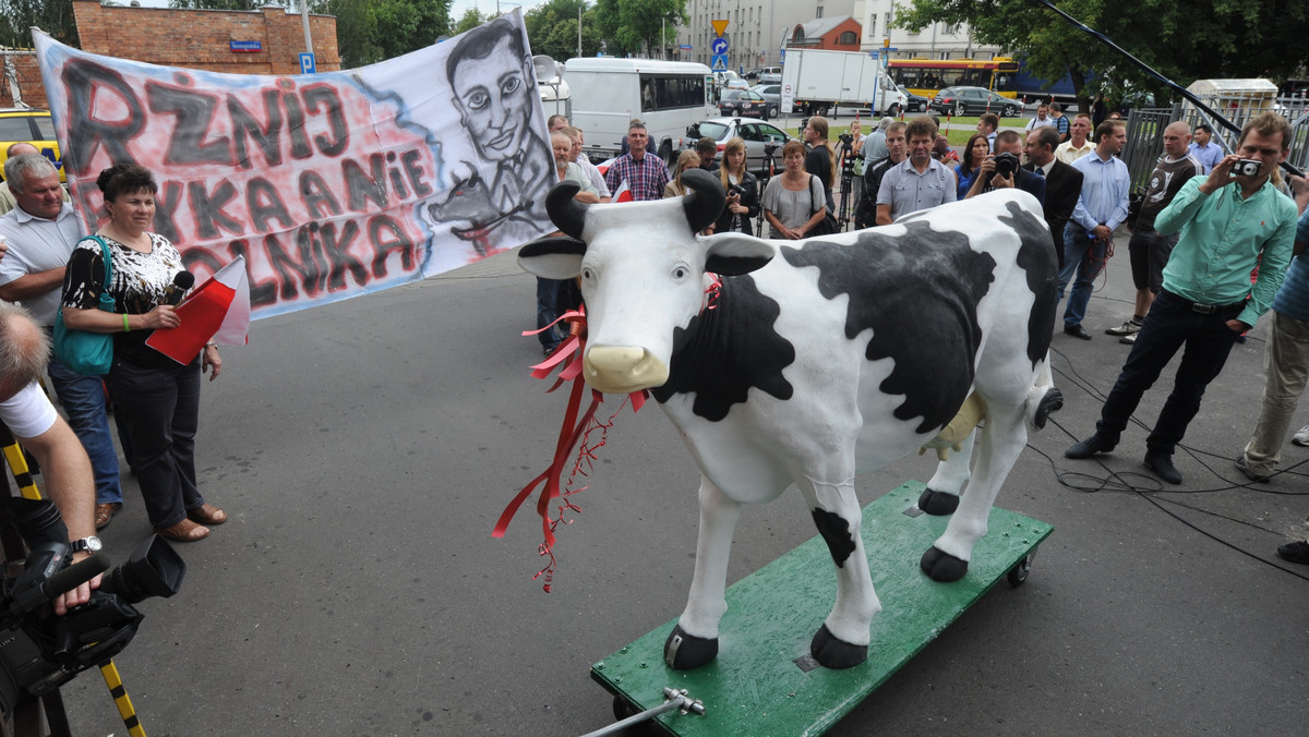Sztuczna krowa od rolników dla Jarosława Kaczyńskiego