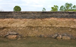 Stan klęski żywiołowej może być powodem zwolnienia z podatku