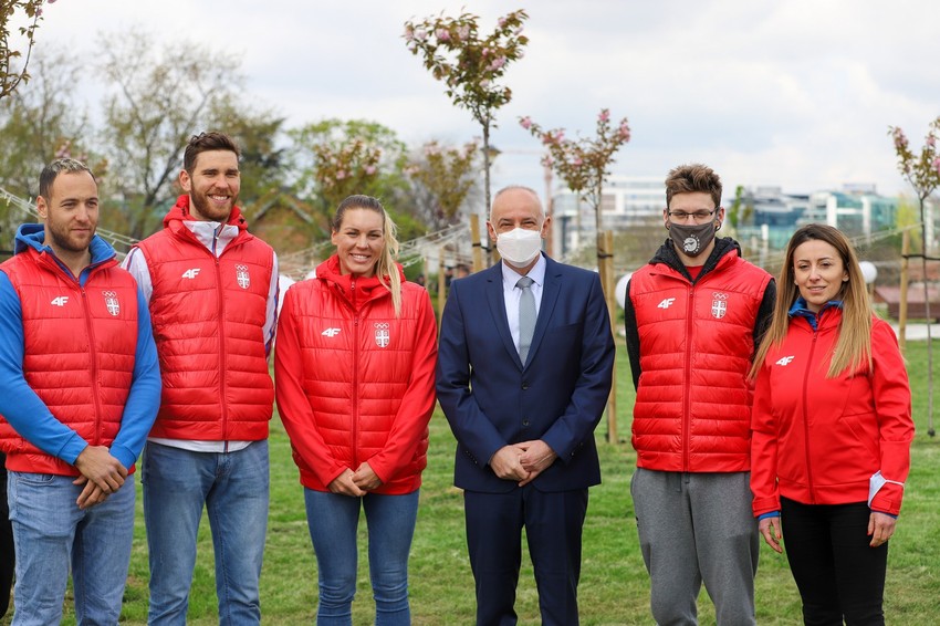 Otvoren park sa Japanskim drvetom