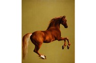 Whistlejacket, George Stubbs.