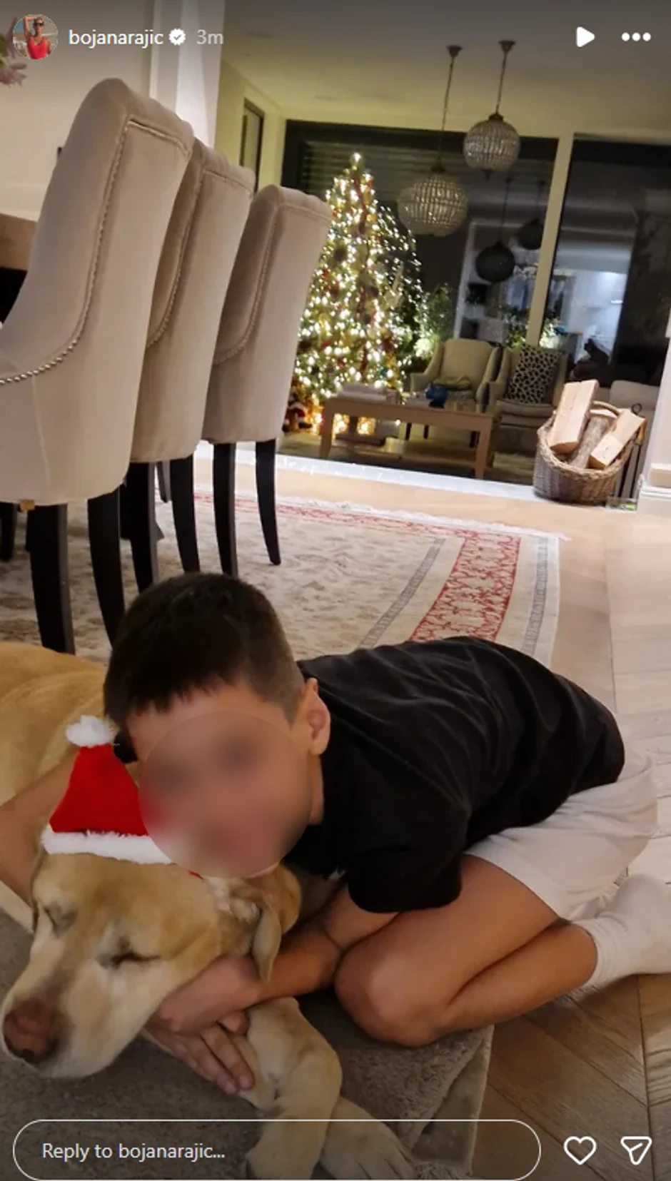 Bojana Rajić pokazala sina i luksuzan dom