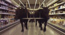 "Onirica": Lecha Majewskiego malowanie kinem