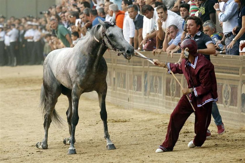 Tradycyjna gonitwa Palio Race we Włoszech