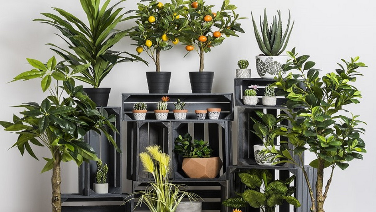 Sztuczne rośliny do mieszkania — jakie mają zalety? Wyglądają jak żywe